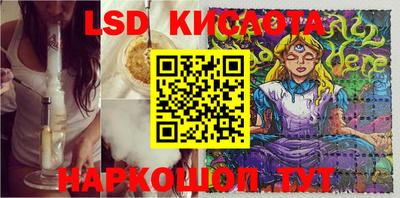 a pvp Новодвинск