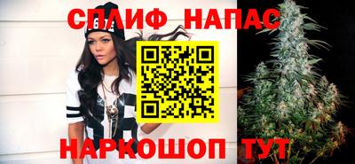 дживик Новозыбков
