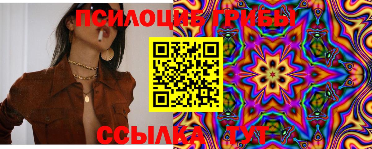 Псилоцибиновые грибы Cubensis Советский